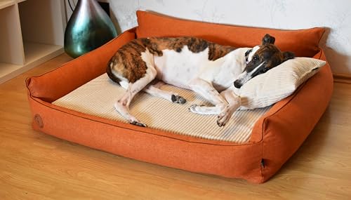 BORN2REST Orthopädisches Hundebett Rocky Visco-Matratze Hundsofa L-XXL für große Hunde maschinenwaschbar Europäischen Union hergestellt (Orange, L 102 x 93) von BORN2REST