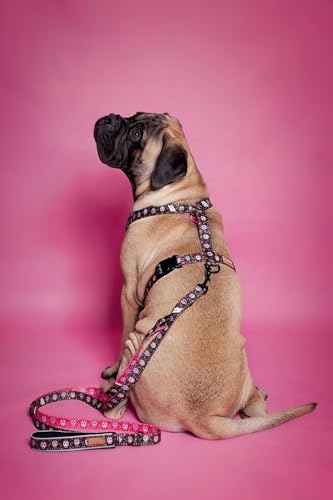 Hundegeschirr für Große Hunde No Pull Geschirr Einstellbar Anti Zug Sicherheitsgeschirr Hunde Geschirrset Mittlere Hunde Brustgeschirr Hund Groß Atmungsaktiv Dog Harness (Very Scary, L) von BORN2REST