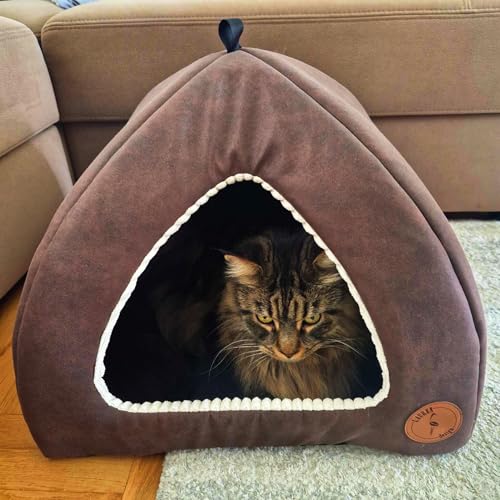 Katzenbetten für Hauskatzen, Faltbare Katzenbetthöhle, Katzenhaus mit waschbaren Kissen, Katzenbett für Kätzchen, Katzenzelt, warmes Katzenhaus Bella Lauren Design (Braun + Creme, 40 x 40 x 28 cm) von BORN2REST