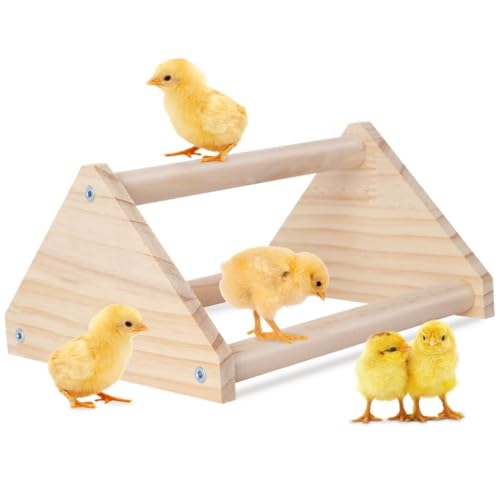 BOSREROY Chick Jungle Gymnastikständer, 20 x 17 x 10 cm, Holzstange für Kükentraining, unterhaltsame Hühner-Roosting-Bar, Sitzstange im Stall und Bruttisch für Küken von BOSREROY