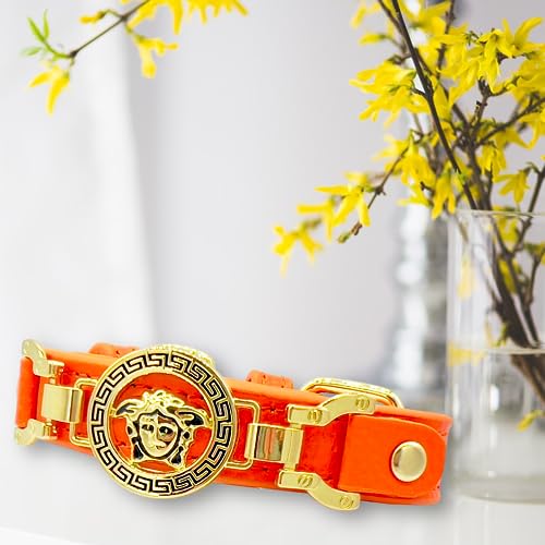 BOSS DOG DODO Vernen Handgefertigtes Hundehalsband aus Leder (S, Orange) von BOSS DOG DODO