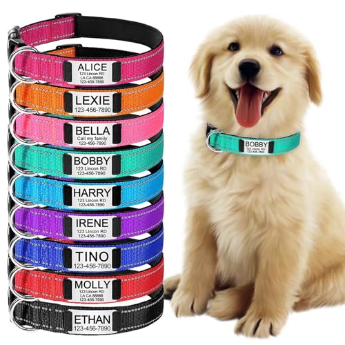 BOSSETY Hundehalsband Personalisiert,Passen Sie den Namen und die Telefonnummer des Haustiers an, Katzenhalsband Personalisiert,Hundehalsband,Nylon,21-56cm,XS,S,M,L (Blau, L) von BOSSETY