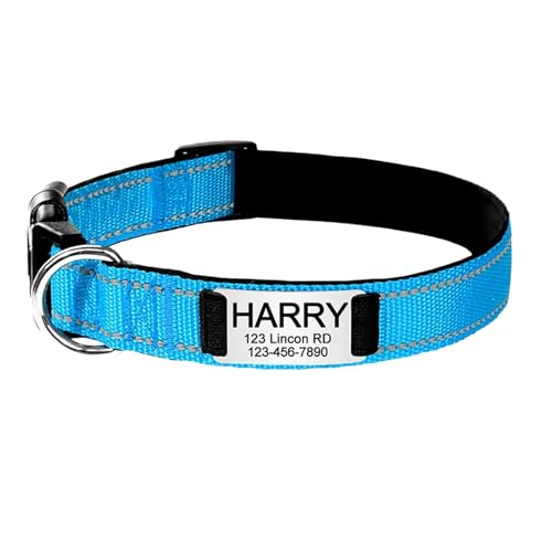 BOSSETY Hundehalsband Personalisiert,Passen Sie den Namen und die Telefonnummer des Haustiers an, Katzenhalsband Personalisiert,Hundehalsband,Nylon,21-56cm,XS,S,M,L (Himmelblau, L) von BOSSETY