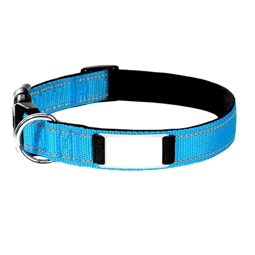 BOSSETY Hundehalsband Personalisiert,Passen Sie den Namen und die Telefonnummer des Haustiers an, Katzenhalsband Personalisiert,Hundehalsband,Nylon,21-56cm,XS,S,M,L (Himmelblau, S) von BOSSETY