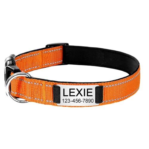 BOSSETY Hundehalsband Personalisiert,Passen Sie den Namen und die Telefonnummer des Haustiers an, Katzenhalsband Personalisiert,Hundehalsband,Nylon,21-56cm,XS,S,M,L (Orange, S) von BOSSETY