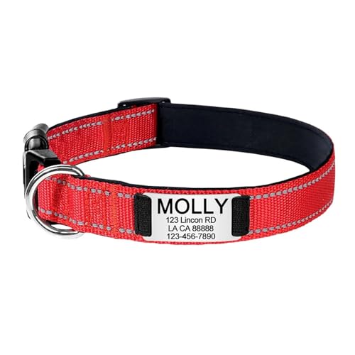 BOSSETY Hundehalsband Personalisiert,Passen Sie den Namen und die Telefonnummer des Haustiers an, Katzenhalsband Personalisiert,Hundehalsband,Nylon,21-56cm,XS,S,M,L (Rot, L) von BOSSETY