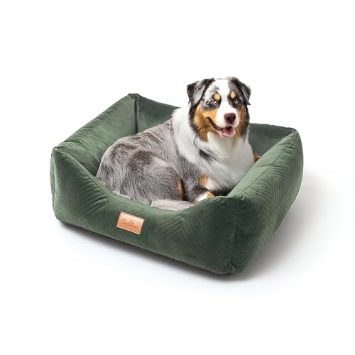 BOUTIQUE ZOO Exclusive Hundebett | Hundeliege, Hundekörbchen mit Kissen | Hundesofa für kleine Hunde | Große: S - 63 x 55 x 19 cm | Farbe: Velvet Grün von BOUTIQUE ZOO