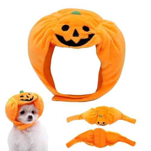 BOWTONG Halloween-Kürbis-Hut, Orange, verstellbarer Kürbis, Cosplay, niedlich, lustig, für mittelgroße Kopfbedeckung, Katzen und Hunde von BOWTONG