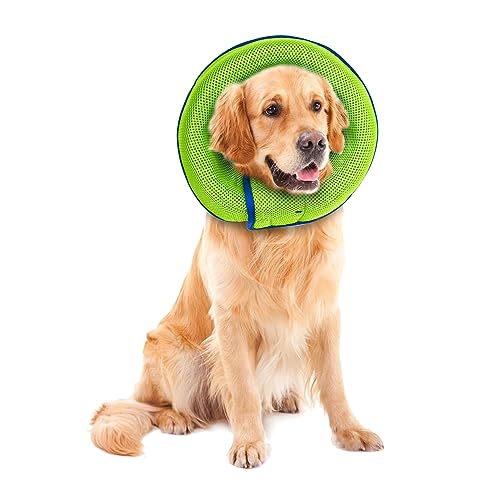 Hunde Kegel, Genesungshalsband für Kleine Mittelgroße und Große Hunde Hundehalsband für Hunde nach Operationen das Verhindert Dass Haustiere Wunden Berühren (M) von BOXOB