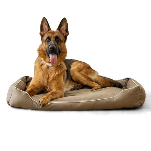 BOXXBERK Wasserdichtes Hundebett für große und mittelgroße Hunde, orthopädisches Schaumstoff-Hundebett mit 900D-Oxford-Gewebe-Oberfläche, Hundebett für Käfig mit abnehmbarem waschbarem und von BOXXBERK