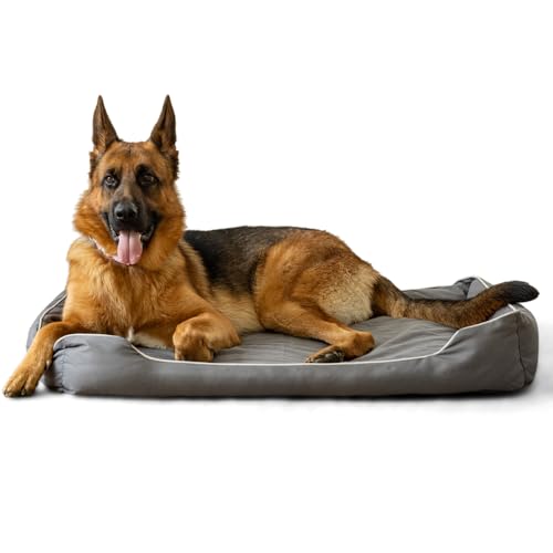 BOXXBERK Wasserdichtes Hundebett für große und mittelgroße Hunde, orthopädisches Schaumstoff-Hundebett mit 900D-Oxford-Gewebe-Oberfläche, Hundebett für Käfig mit abnehmbarem waschbarem und von BOXXBERK