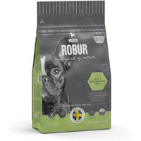 BOZITA Robur Mini Adult Maintenance 3,25kg von BOZITA