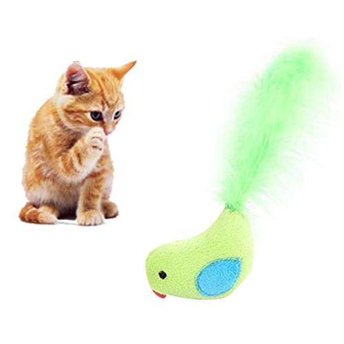 BOduShang Katzen Spielzeug Plüsch Spielzeug Katze Interaktives Cat Toys Lustiges Katzen Spielsachen Niedlich Kitten Spielzeug for Kätzchen Und Katzen Katzenübungen Green von BOduShang