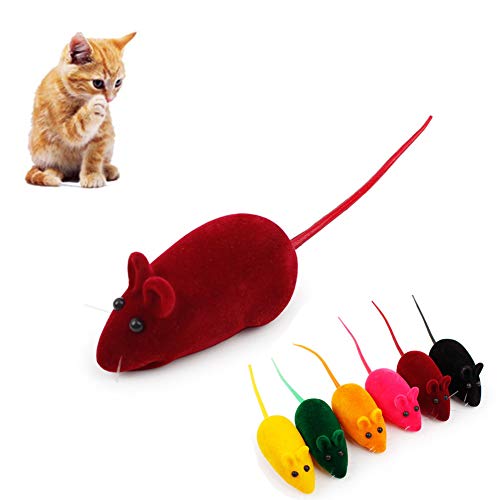 BOduShang Katzen Spielzeug Plüsch Spielzeug Katze Interaktives Cat Toys Lustiges Katzen Spielsachen for Kätzchen Und Katzen Haustiere Katzenübungen a von BOduShang