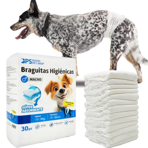 BPS BPS-2217 Hygiene-Höschen, männlich, für Hunde, Haustiere, hygienisch, 3 Größen zur Auswahl, 30 Stück von BPS BUENA PET SHOP