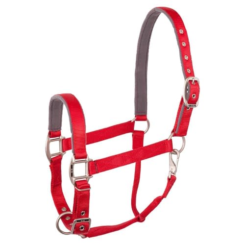 BR Halfter Event Nylon - Size Pony von BR