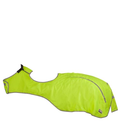 BR Reflektierende Führanlagendecke - Größe 115, Einfarbig, Polyester, 115 cm, 10 kg, Outdoor, Große Rassen, Kapuze, Hundemantel, Pferd, Decke von BR