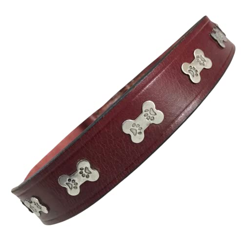 BRADLEY CROMPTON Designer-Hundehalsband aus echtem Leder, Größe L von BRADLEY CROMPTON