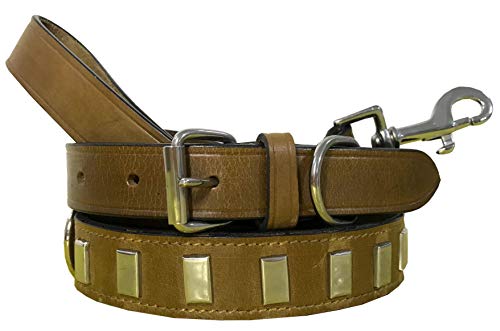 BRADLEY CROMPTON Hundehalsband und Leine, echtes Leder, 43,2 - 53,3 cm, Khakibraun von BRADLEY CROMPTON