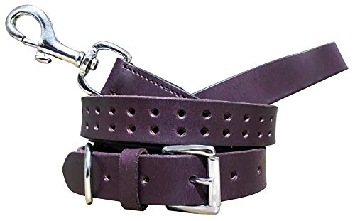 BRADLEY CROMPTON Passendes Hundehalsband und Leine, Echtleder, 30,5 - 38,1 cm, Violett von BRADLEY CROMPTON