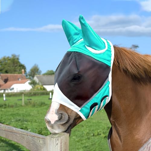 BRISKORE Fliegenmaske Pferd UV Schutz, Super Comfort Stretchy Pferdefliegenmaske mit Ohrenschutz, Fliegenhaube Pferde Fliegenmaske Horse Fly Mask, Fliegenmaske Shetty Large Eye Space(M, Türkisblau) von BRISKORE