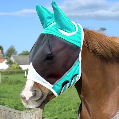 BRISKORE Fliegenmaske Pferd UV Schutz, Super Comfort Stretchy Pferdefliegenmaske mit Ohrenschutz, Fliegenhaube Pferde Fliegenmaske Horse Fly Mask, Fliegenmaske Shetty Large Eye Space(L, Türkisblau) von BRISKORE