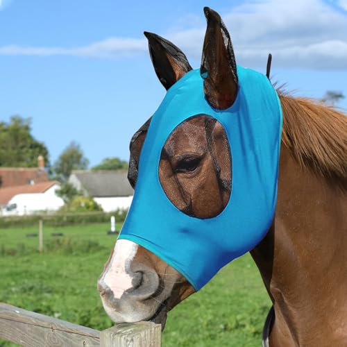 Pferde Fliegenmaske, Fliegenmaske UV-Schutz Ohren und Nasenschutz Fliegenhaube Pferde Fliegenmaske Elastizität Fliegenmaske mit Ohrenschutz Elastische Bremsenmaske Anti-UV, Anti-Mücken (Blau) von BRISKORE