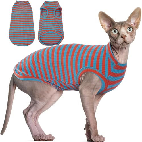 BRKURLEG T-Shirt für haarlose Katzen, gestreift, Pullover, Kätzchen, ärmellos, Sommer, Rundkragen, Baumwolle, Katzenkleidung, Weste für Cornish Rex, Devon Rex Peterbald und kleine Hunde, orange-blau von BRKURLEG