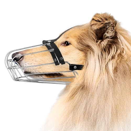 BRONZEDOG Drahtkorb Hund Maulkorb Metall Hund Maulkorb Leder verstellbar (Size 8: Greyhound & Collie) von BRONZEDOG