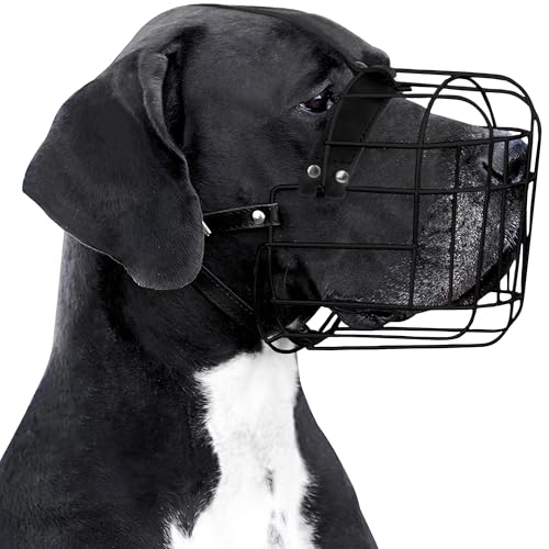 BRONZEDOG Hundemaulkorb Verstellbar Robustes PVC/Metalldrahtkorb für Große und Sehr Große Hunde mit Lederbändern Atmungsaktiv, Trinkfähig, Training, Verhindert Beißen (Great Dane, PVC) von BRONZEDOG