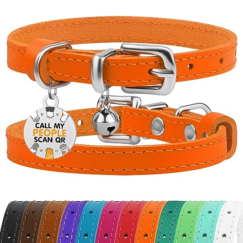 BRONZEDOG Katzenhalsbänder, Halsband, Leder, mit Glöckchen, für Mädchen und Jungen, 22,9 cm – 27,9 cm, Orange und silberfarben von BRONZEDOG