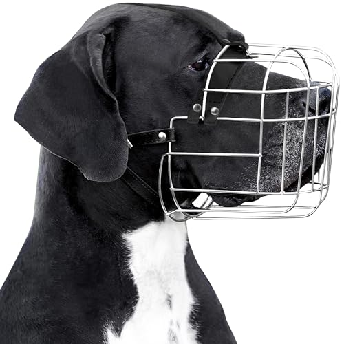 Great Dane Dog Muzzle (Black) von BRONZEDOG