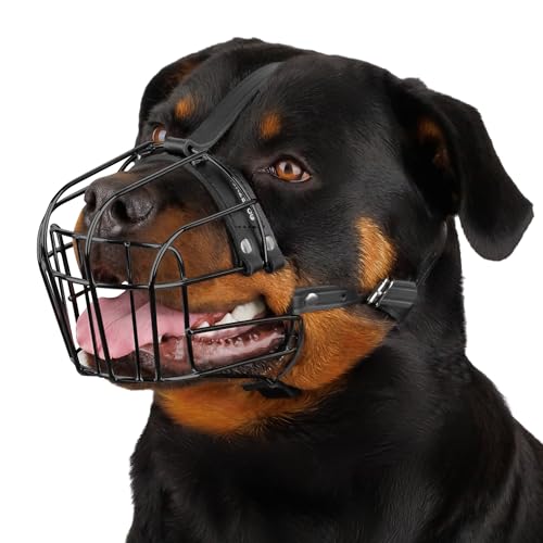 BRONZEDOG Hundemaulkorb Verstellbar Robustes PVC/Metalldrahtkorb für Große und Sehr Große Hunde mit Lederbändern Atmungsaktiv, Trinkfähig, Training, Verhindert Beißen (Rottweiler, PVC) von BRONZEDOG