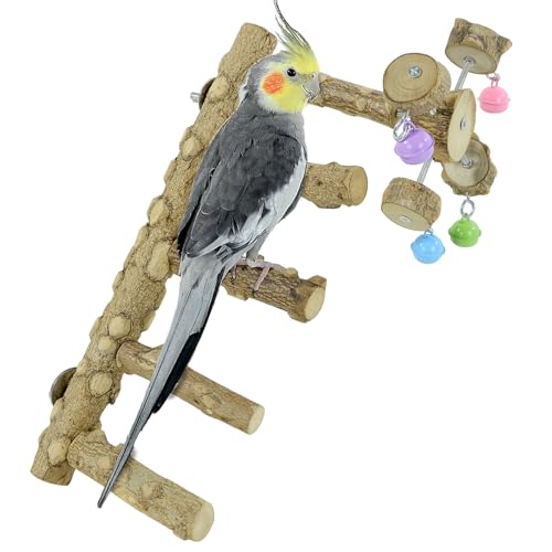 BRSLAIF Natürliches Holz Vogel Papagei Leiter Sitzstange Vogel Kauspielzeug Vogelkäfig Zubehör mit drehbarer Glocke Spielzeug für Papageien Sittiche Nymphensittiche Sittiche S von BRSLAIF