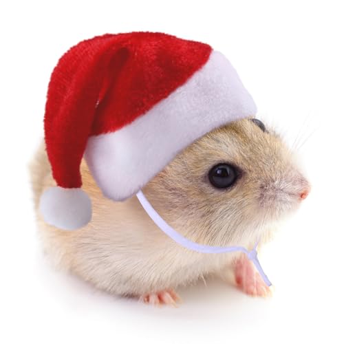 BRTNUP Hamster Weihnachten Hut Weihnachten Haustier Huhn Hut Mini Santa Hut für Meerschweinchen Kaninchen Chinchilla Katze Papagei Haustier Weihnachten Kostüm von BRTNUP