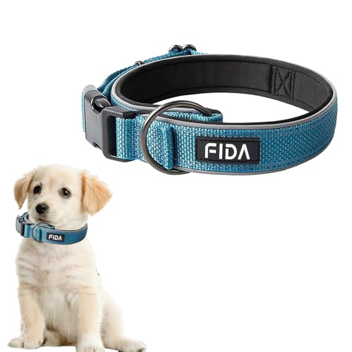 BRTNUP Reflektierendes Hundehalsband, verstellbares Hundehalsband, einfach zu montieren, Nylon-Halsband für mittelgroße und große Hunde (Blau, L) von BRTNUP