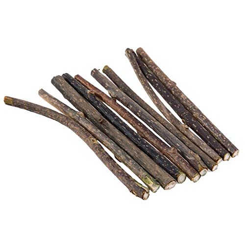 BSDIHRIWEJFHSIE 10/15 / 20pcs Cat Zahnstangen Obst Katze Snacks Sticks Pet Cat Backenzahnpasta Rod Kätzchen Reinigungszähne Werkzeug-10PCS, 12 x 0,5 cm, Australien von BSDIHRIWEJFHSIE