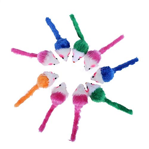 BSDIHRIWEJFHSIE 10 Stück Pet Cat Toys Falsche Maus Mini Lustiges Spielzeug für Katzen mit Buntem Federplüsch Mini Mouse Toys Pet Supplies-01, Spanien von BSDIHRIWEJFHSIE