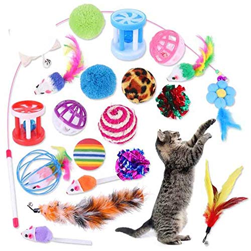 BSDIHRIWEJFHSIE 20 Stück Katzenspielzeug Innenkatzen Kätzchen Teaser Zauberstab Katzentunnel Spielzeug Mäuse & Bälle Haustierzähne Reinigungsspielzeug für Katzen Haustierbedarf-Multicolor, USA von BSDIHRIWEJFHSIE