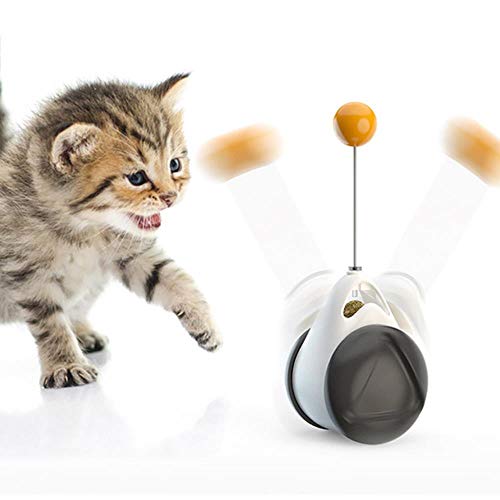 BSDIHRIWEJFHSIE Neues Haustier Spielzeug liefert Katzenspielzeug Plattenspieler necken Katze Stick Vent Balance Auto Haustier Sport Becher Frühling Mann-LKW schwarz, 20 cm Karpfen hinzufügen von BSDIHRIWEJFHSIE