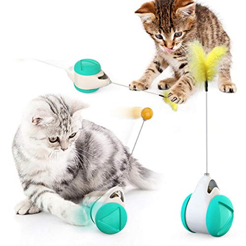 BSDIHRIWEJFHSIE Neues Haustier Spielzeug liefert Katzenspielzeug Plattenspieler necken Katze Stick Vent Balance Auto Haustier Sport Becher Frühling Mann-Wiegen Auto blau, 20 cm Karpfen hinzufügen von BSDIHRIWEJFHSIE