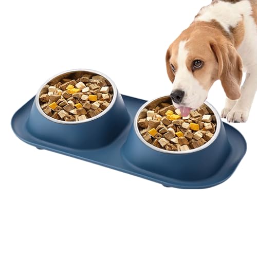 Hundefutter-Wassernapf | Futternäpfe aus Edelstahl - rutschfeste Doppelschalen-Futternäpfe für Katzen, mittelgroße Welpen, kleine Hunde Bseid von BSEID