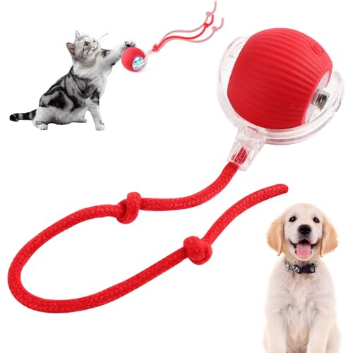 BSOON Elektrischer Hundeball Spielzeug, Rot Interaktives Katzenball Spielzeug, Katzenspielzeug Elektrisch Mit USB Aufladbar, 360° Intelligenter Automatischer Rollender Haustierball von BSOON