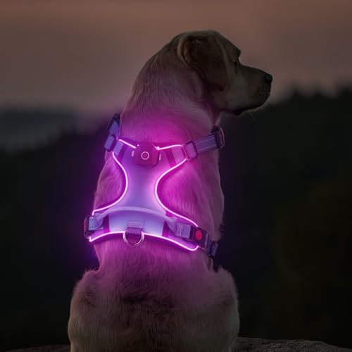 DAISTERN von BSWAY LED Hundegeschirr Größe L mit Griff, Aufladbares Leuchtendes Hundegeschirr, Brustgeschirre Hunde mit 3 Blinkmodi, Reflektierende Streifen für kleine und Mittelgroße Hunde von BSWAY