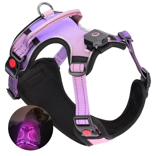 DAISTERN von BSWAY LED Hundegeschirr Größe XL mit Griff, Aufladbares Leuchtendes Hundegeschirr, Brustgeschirre Hunde mit 3 Blinkmodi, Reflektierende Streifen für kleine und Mittelgroße Hunde von BSWAY