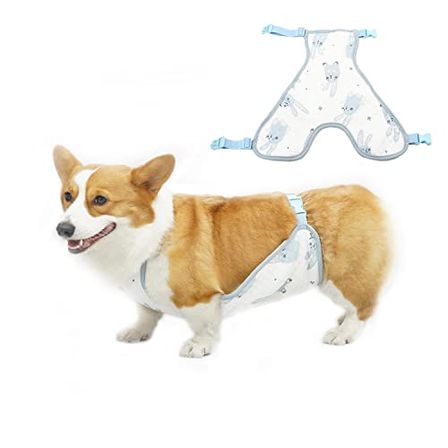 BT Bear Bauchschutz für Hunde, warm, Bauchschutz, Bauchband, Weste, Chirurgie, Erholungsanzug für Katzen, Welpen, kleine Hunde (XS, Blau-männlich) von BT Bear