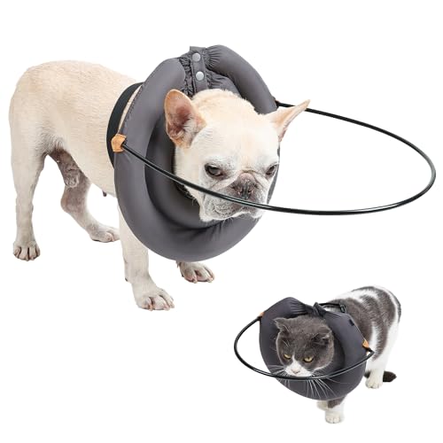 BT Bear Blind Dog Halo Collar,Elizabethan Collar with Blind Dog Harness Guiding Device,Pet Prevent Collision Collar,Face Protection Pet Safe Accessories for Medium Large Dogs (XL) von BT Bear