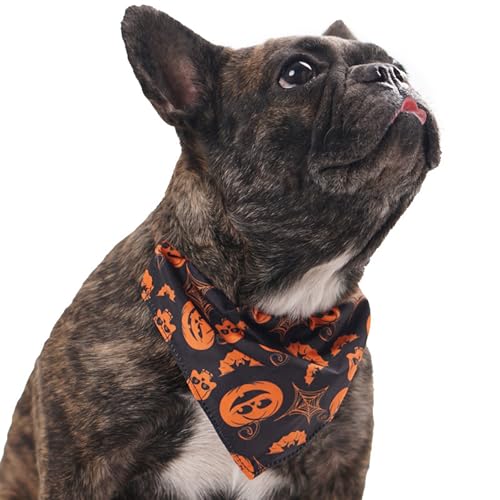 BT Bear Halloween-Hundehalstuch, Halloween-Kostüm, Haustier-Halsband, Kürbis, Geist, Fledermaus, Haustier-Schal für kleine, mittelgroße und große Hunde, Größe M, schwarzer Kürbis von BT Bear