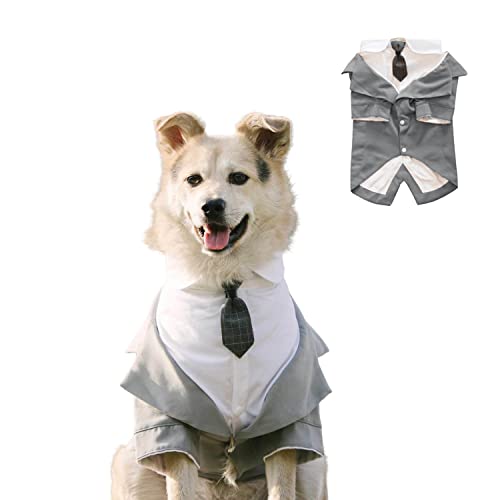 BT Bear Hunde-Smoking, Hochzeitsanzug und Bandana, Set für Hunde, formelles Hemd, Haustier-Hochzeits-Partyanzug, Hochzeit, Fliege, Hemd für mittelgroße und große Hunde (Grau, XXL) von BT Bear