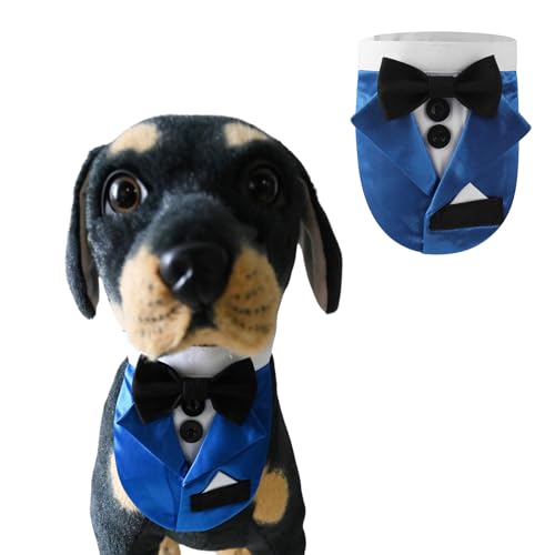 BT Bear Hunde-Smoking, Hundehalstuch, Hundehalsband mit Fliege, verstellbar, Haustierparty, Hochzeitskleidung, Outfit, Cosplay für mittelgroße und große Hunde (Blau, L) von BT Bear